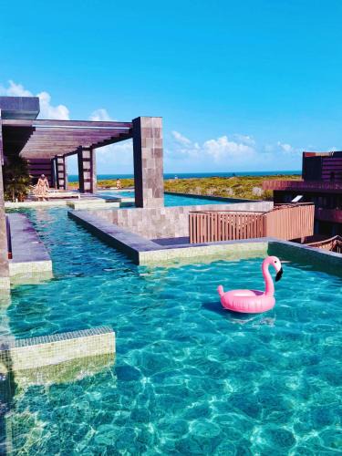 Playa Paraiso Apartment | 1-BD Apt with Ocean View Rooftop Pool