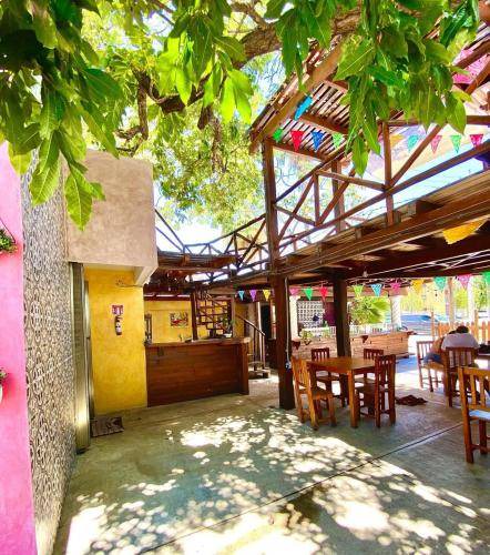 Downtown Cancun Hostel | 12 m² Hostel ∙ 1 guest