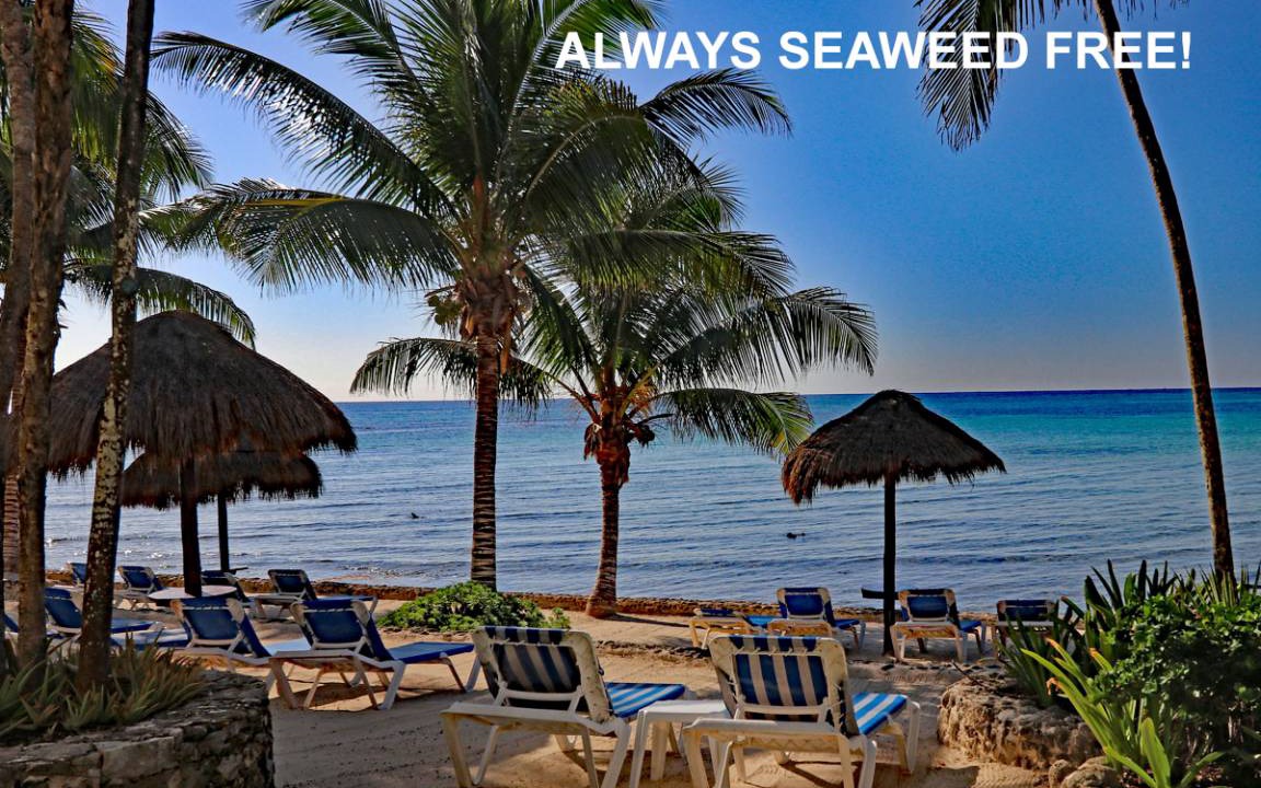 Akumal Condo | 139 m² Condo ∙ 2 bedrooms ∙ 5 guests