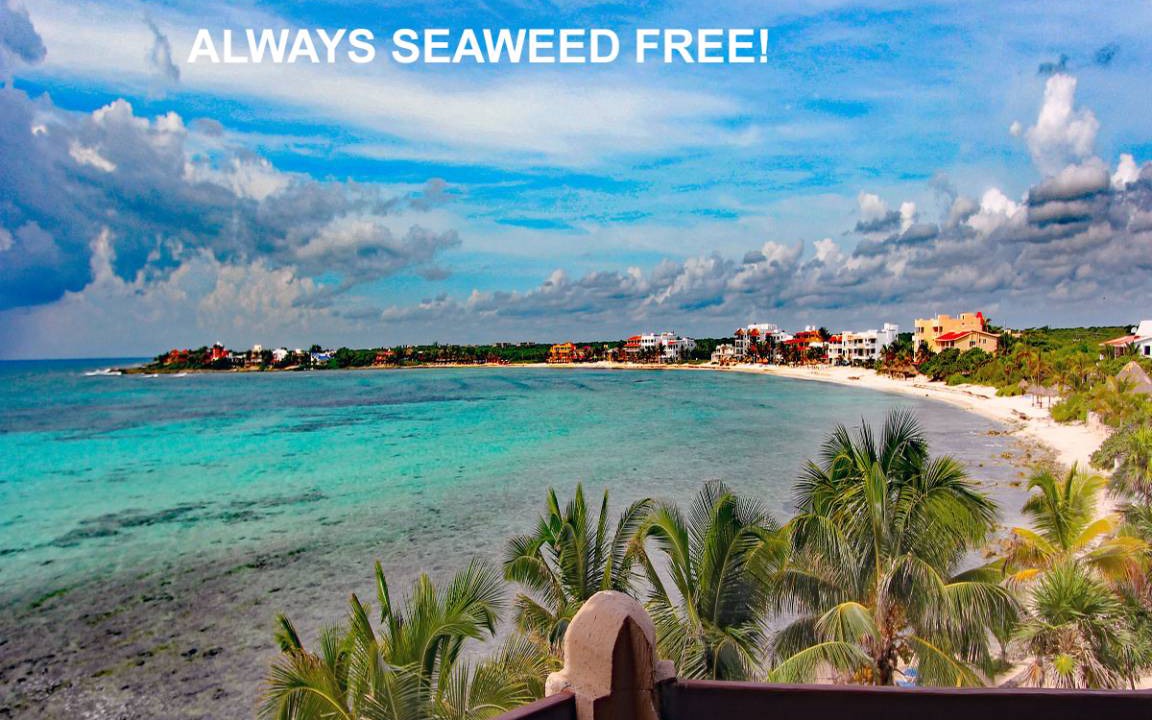 Akumal Condo | 139 m² Condo ∙ 2 bedrooms ∙ 5 guests