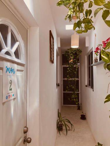 Isla Holbox Hostel | 24 m² Hostel ∙ 3 guests