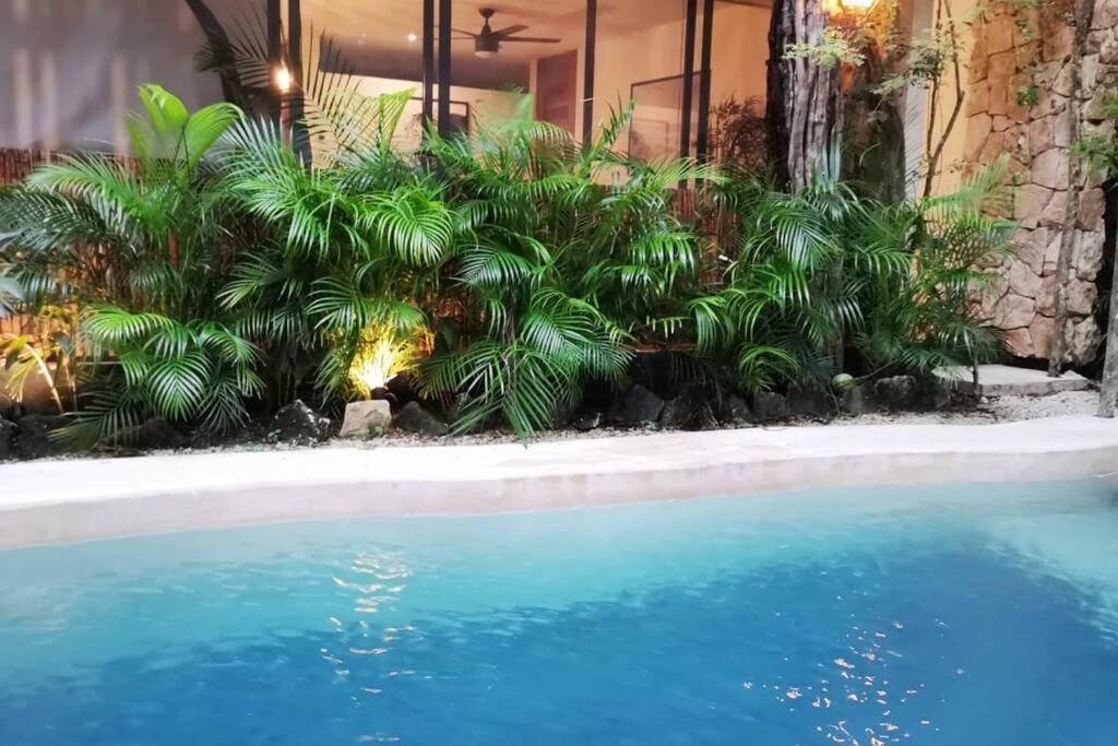 Chemuyil Apartment | Agua & Selva luxury Jungle loft