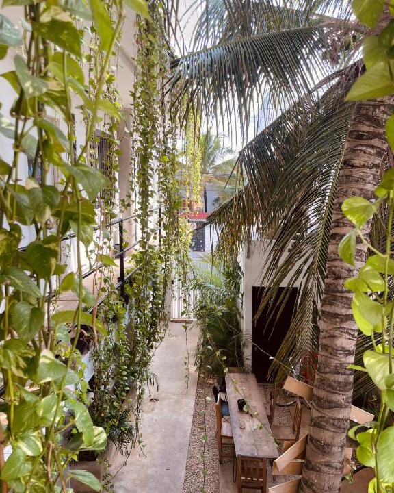 Gonzalo Guerrero Hotel | Anana Coliving
