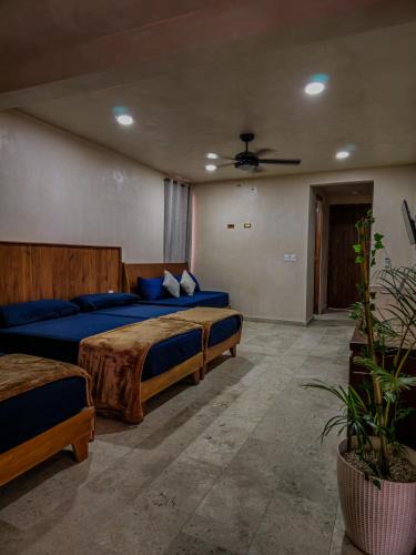 Chemuyil Apartment | Apartamento Flamingo - Santuario Apartments