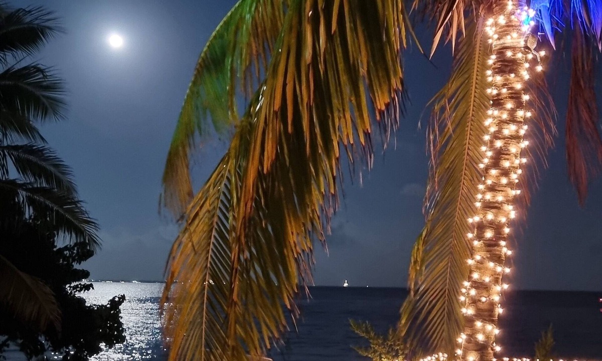Puerto Juarez House | BEACH VILLA SEASIDE SUNRISE HAVEN VIEW 7 BEDROOMS