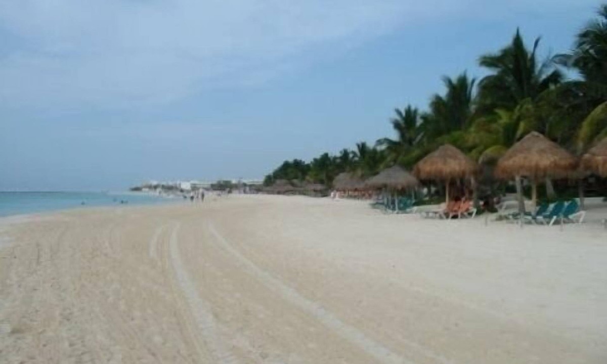 Zazil-ha Condo | Beautiful 2 Bedroom Condo Steps Away from Beach and 5th Avenue
