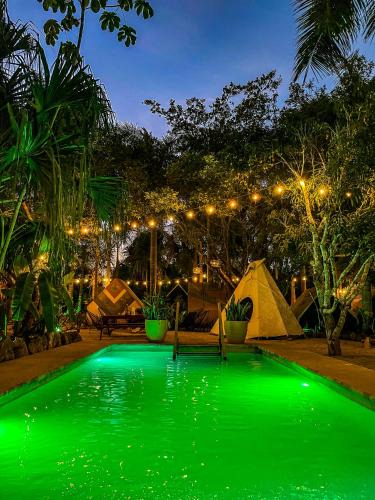 Buenavista Hotel | Bufo Alvarius Sanctuary Bacalar
