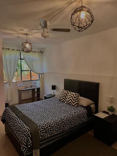 Zona Centro Hotel | Casa 86