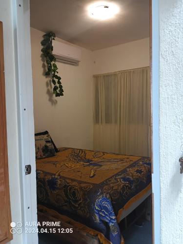 Chetumal Apartment | Casa acogedora