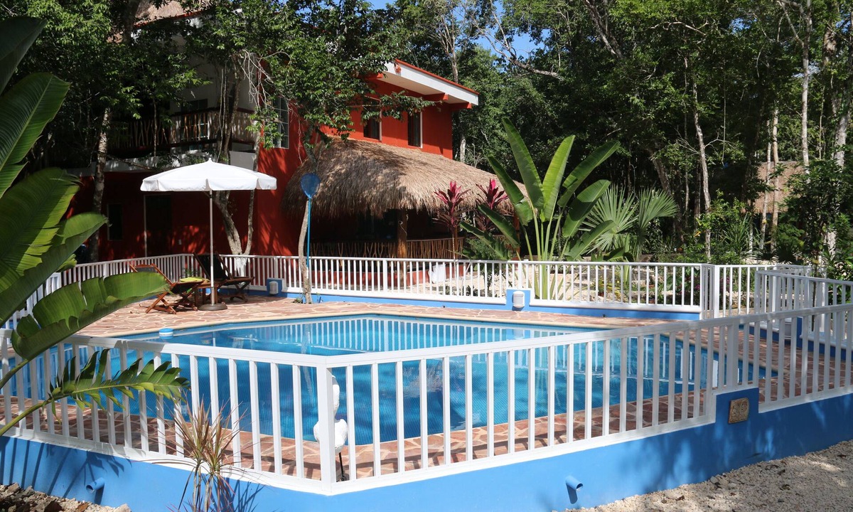Francisco Uh May House | casa Cactus flower