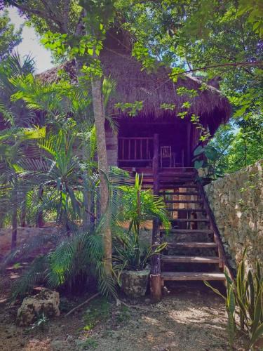 Macario Gomez Bed & Breakfast | Casa Mango