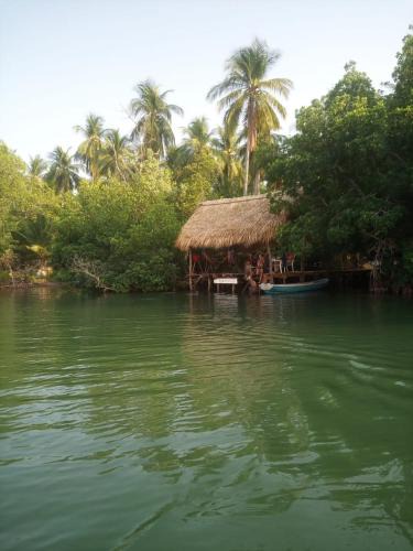Tonala Other | Chak