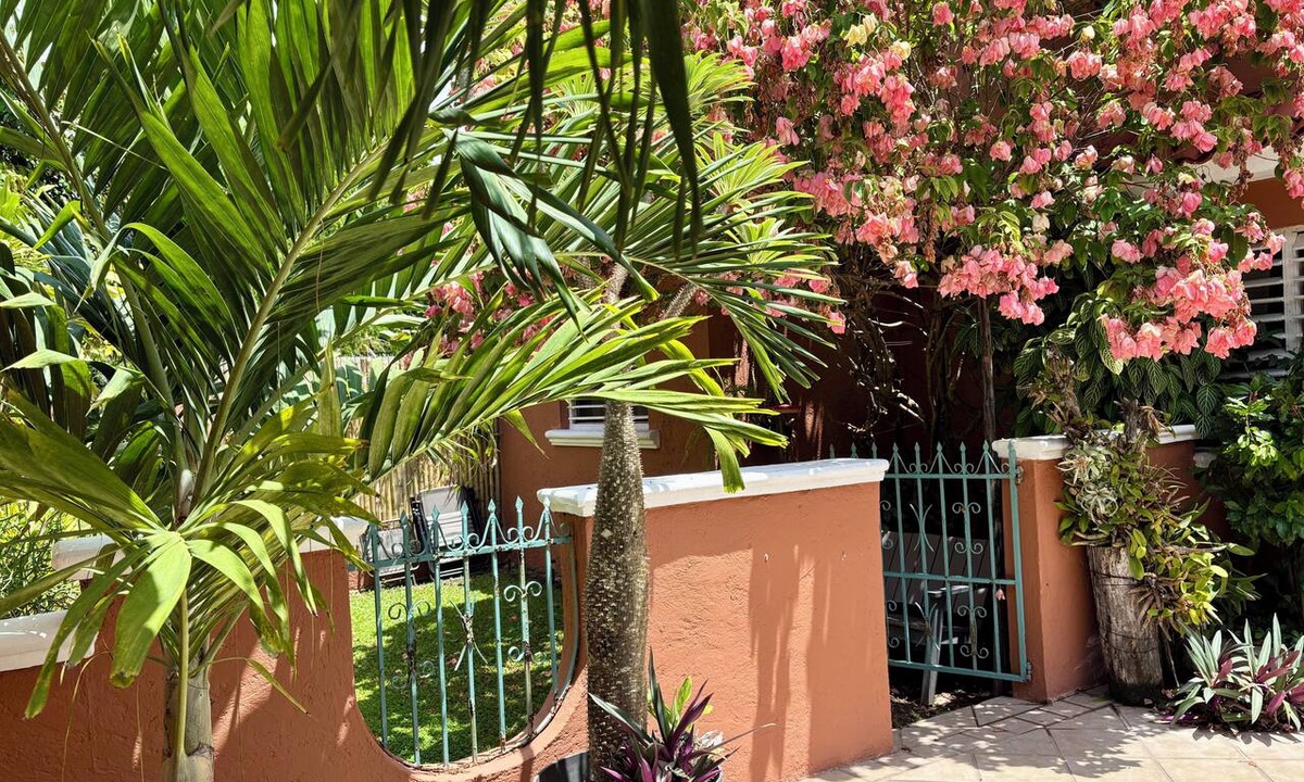 Colonia Adolfo Lopez Mateos Apartment | Charming studio apartment, centrally located with a garden.