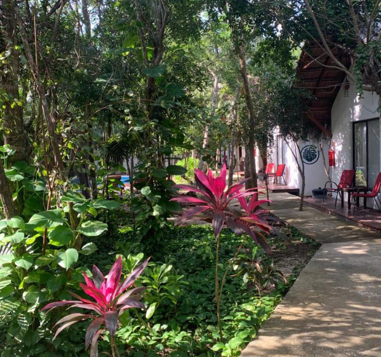 Chemuyil Hotel | Collection O EcoVergel Hotel Boutique Spa in Tulum