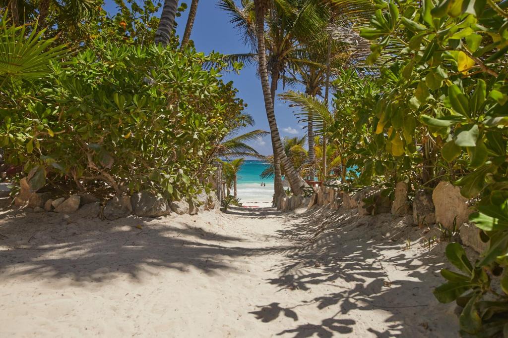 Zona Hotelera Hotel | Dos Ceibas Tulum - Feel Good Hotel