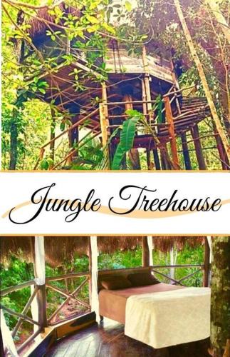 Leona Vicario Other | Exclusive Treehouse and Cenote - Sweet Jungle Dreams