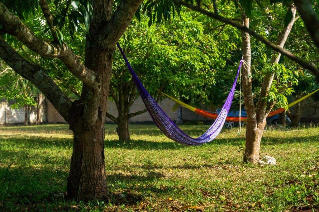 Leona Vicario Resort | Finca Tuch