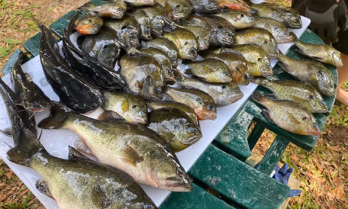Satsuma House | FREE Boat to use-Fish from the TIKI outback-Dock your boat on canal-Pets OK-4 Br