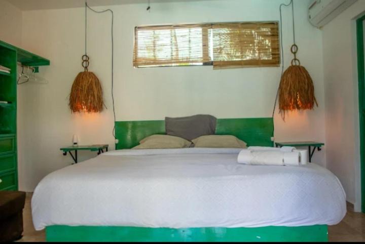 Tulum Hotel | Harmony Castle stud