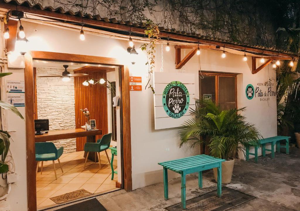 Centro Hostel | Hostal & Suites Pata de Perro
