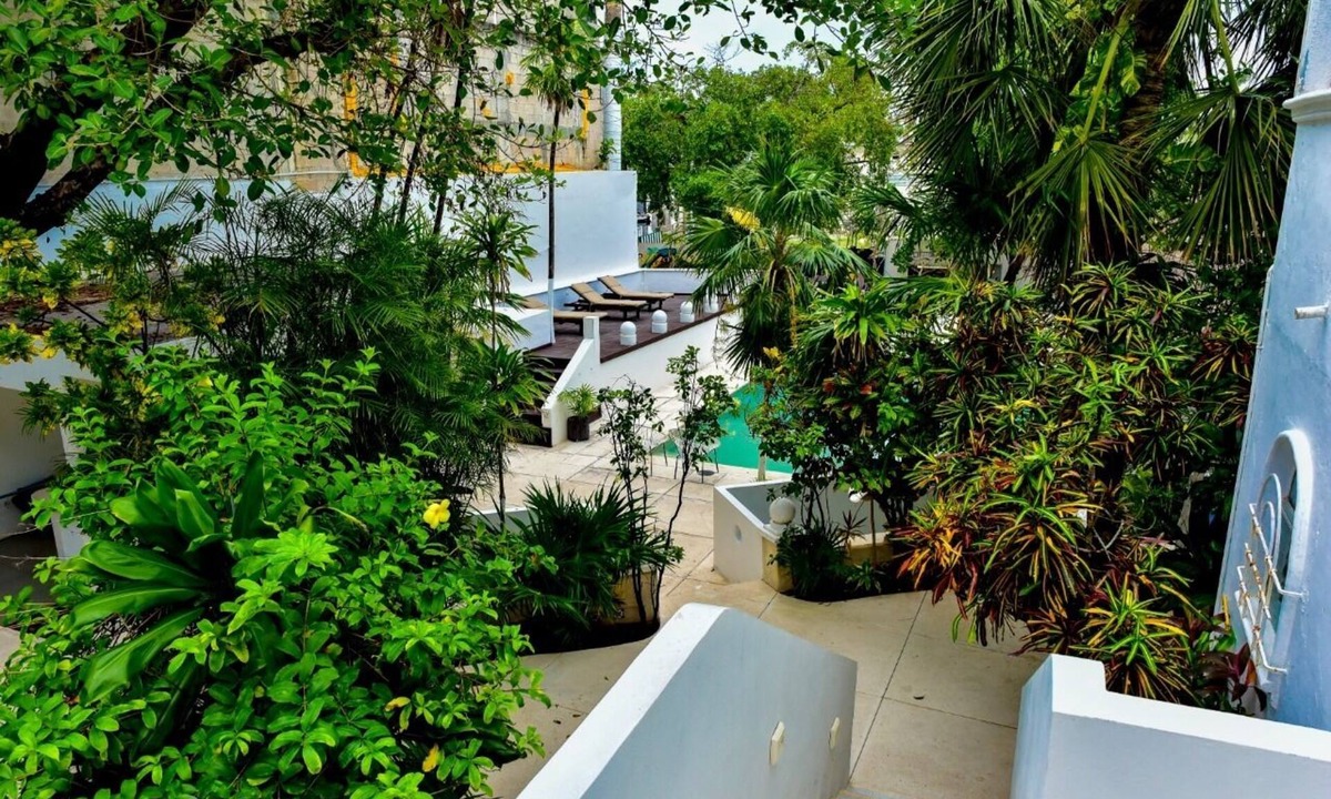 Downtown Hotel | Hotel tropical casa blanca