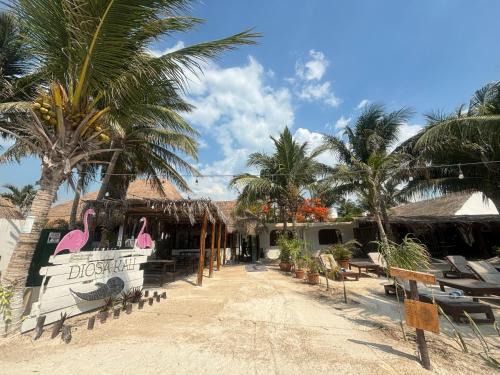 Isla Holbox Hotel | La Diosa Kali Beach Front Hotel