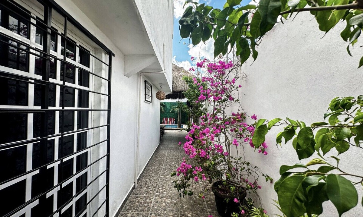 Colonia Adolfo Lopez Mateos Villa | La Perle Noire | MR - Terrace and Pool