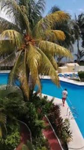 Punta Cancun Hotel | Lagoon room