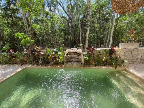 Chemuyil Apartment | Little Oasis with private pool in the jungle