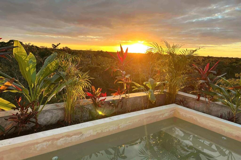 Chemuyil Apartment | Lush Tulum Rooftop Condo with Ensuite Pool & Wifi
