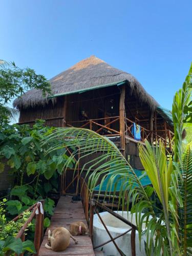 Coba House | Malinche Cafe in Coba Tulum