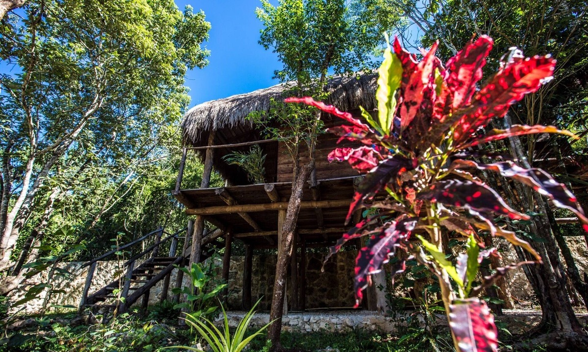 Macario Gomez Bed & Breakfast | Nice wood cabin in the Mayan jungle