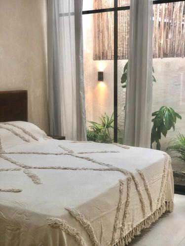 Punta Allen Apartment | Osmanthus private room