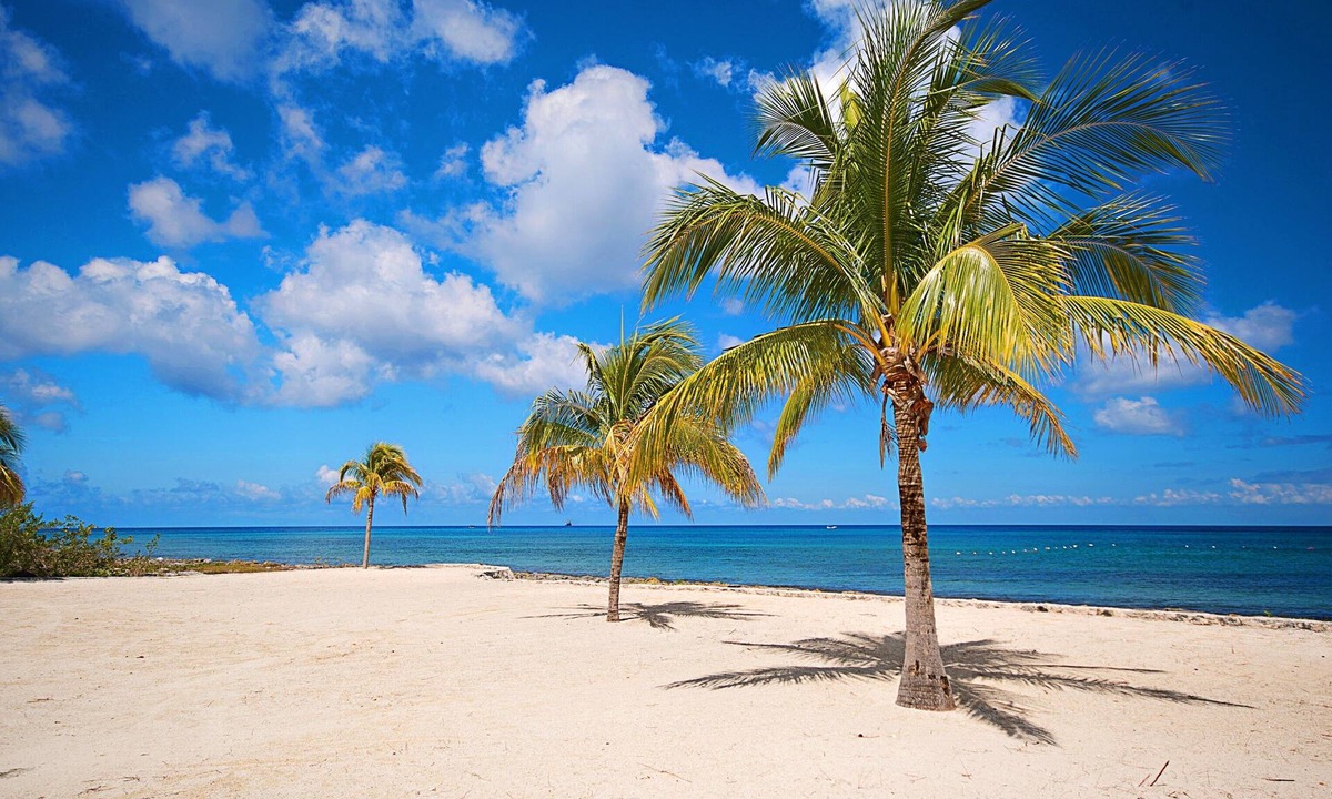 Costa Maya Villa | Panoramic Sea View - VISTA BONITA (Costa del Sol D4)