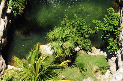 Centro Hotel | Posada Sian Kaan Playa del Carmen - Wellness Oriented Hotel