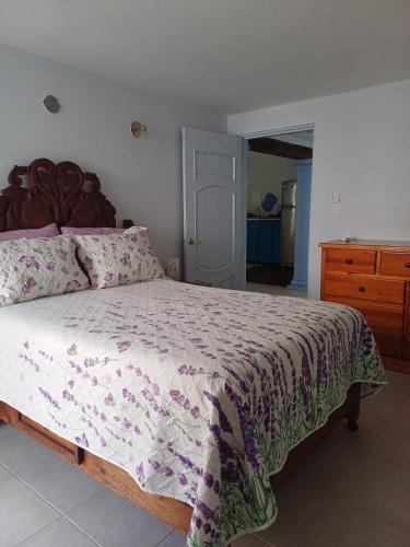 Colonia Adolfo Lopez Mateos Apartment | Purple Lotus Cozumel