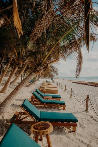 Zona Hotelera Hotel | Sacred Hideaways