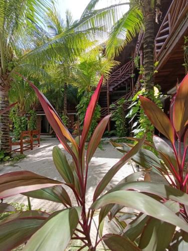Majahual Apartment | Secret paradise mahahual