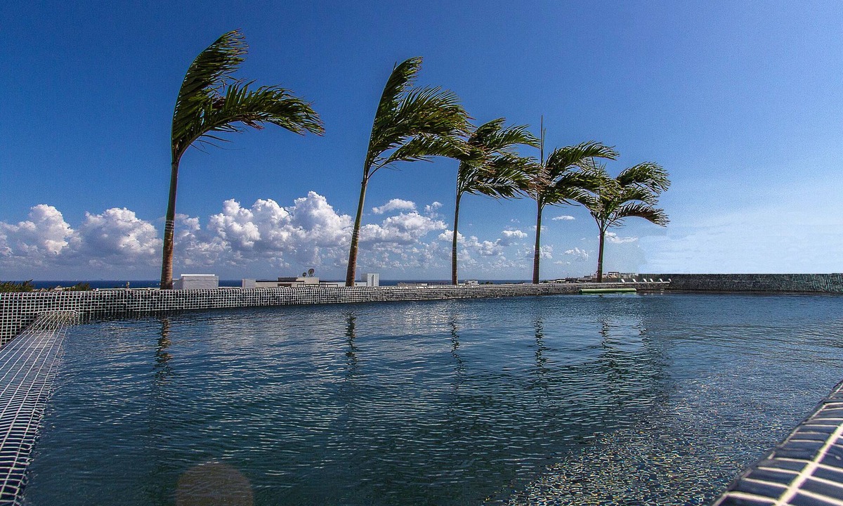 Luis Donaldo Colosio Apartment | Stylish studio on the 5th Ave in Playa del Carmen, welcome!