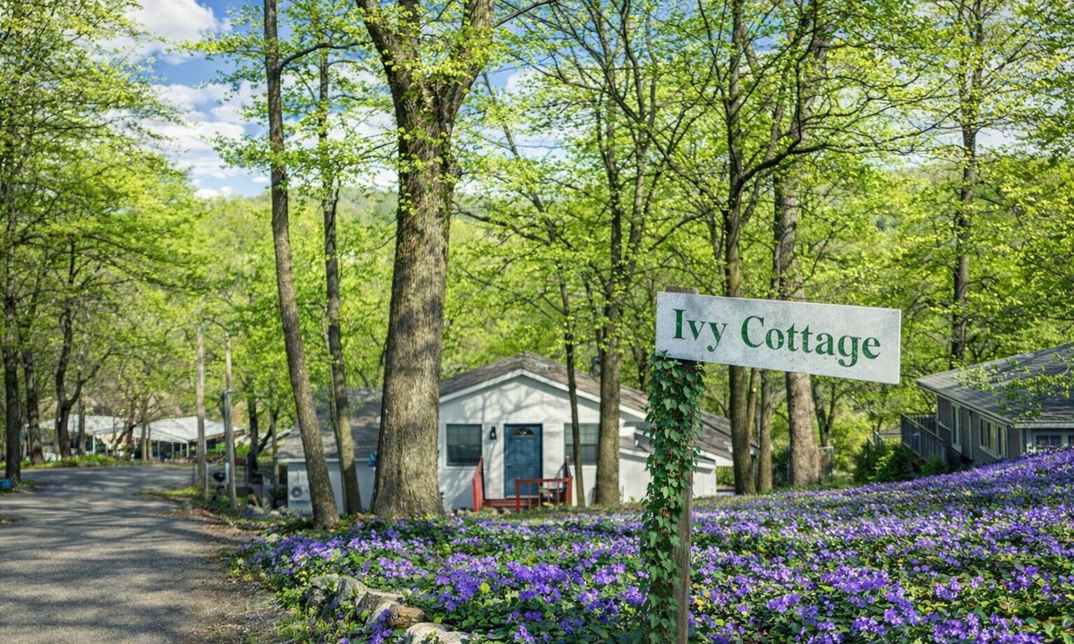 Eucha Cabin | Waterfront 3-bedroom cabin 2 slip boat dock with swim deck lots of parking