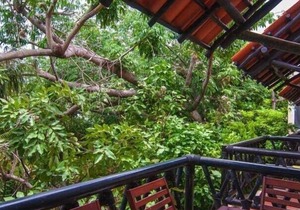 3-Balcony Escape | Walk to the Beach & 5th Ave