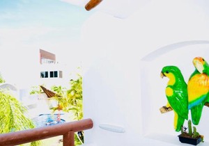 Deluxe Family Budget Balcony Room with Pool Playacar Ii