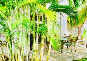 Executive Basic Room With Swimming Pool Air Conditioning and Parking
