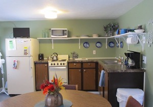 Finley's Riverside Cabins | Cabin #D in Grayling
