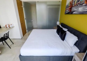 Lovely 1 Br apartment, 3 Blocks To Mamitas, Roof Pool Views, Bbq