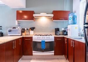 Meridian 207 condo