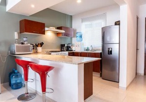 Meridian 207 condo