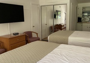 Mill House Lodge - Studios in Flat Rock