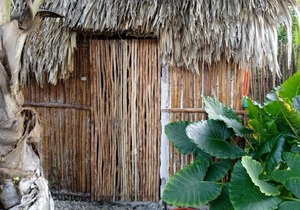 Muelle36 Hostel