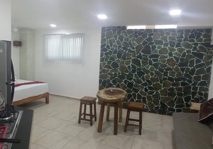 PALMAS DE CHAHUE E (376 SF) in Crucecita